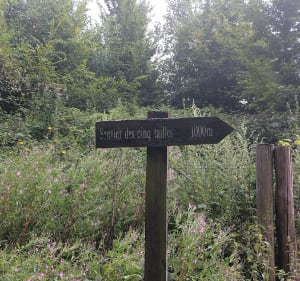 Sentier de la Neuville - La Neuville - 5