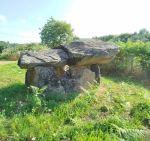 Boucle du parc du Mas Jambost - Limoges - 3