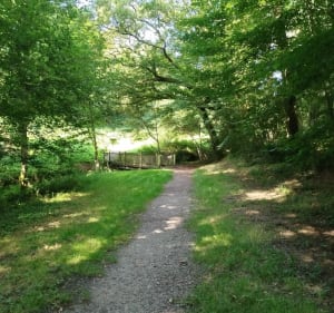 Boucle du parc du Mas Jambost - Limoges - 4