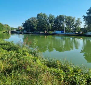 Bord de Saône et villages - Losne - 4