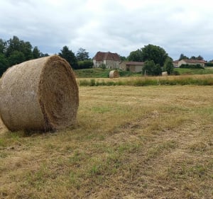 Boucle de Saint-Laurent-sur-Gore - Saint-Laurent-sur-Gorre - 5