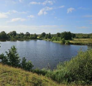 Libellenpad - Harich - Oudemirdum - 3