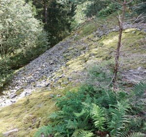 Boucle de Chèvre Roche au dessus de Vagney - Vagney - 3