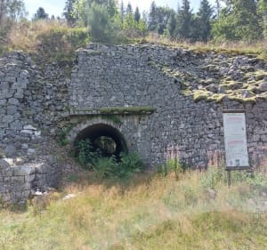 Boucle de Chèvre Roche au dessus de Vagney - Vagney - 4