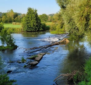 Balade dans le Saintois - Ceintrey - 5