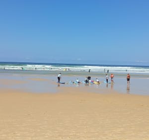 Plage des Viviers jusqu'au grand pont de la Salie - Biscarrosse - 3