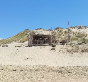 Plage des Viviers jusqu'au grand pont de la Salie - Biscarrosse - 5