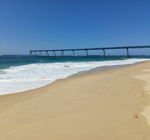 Plage des Viviers jusqu'au grand pont de la Salie - Biscarrosse - 4