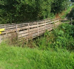 Balade champêtre d'Arzal au barrage - Arzal - 4