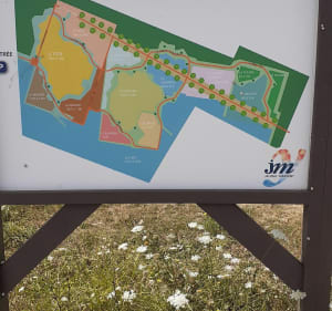 Dans les champs entre Jaunay-Clan et Louneuil - Jaunay-Marigny - 3