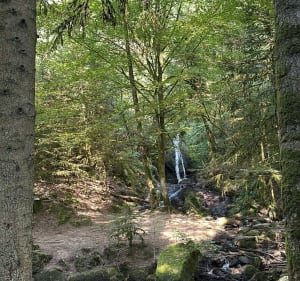 Gimel-les-cascades et ses trésors - Gimel-les-Cascades - 4