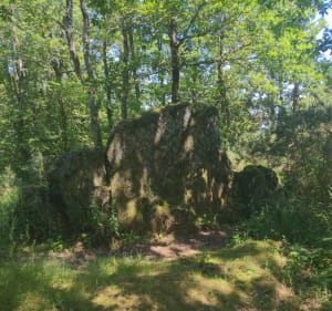 Balade sur Berniquaut - Sorèze - 4