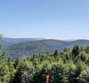 Circuit du Grouvelin - La Bresse - 4