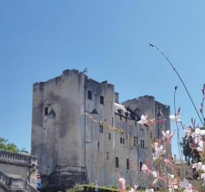 Balade le long de la Sèvre à Niort - Niort - 5