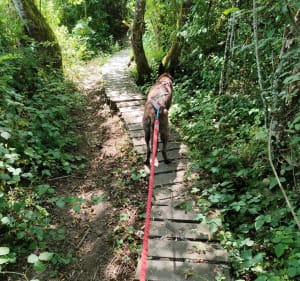 Sentier du Vuache - Jonzier-Épagny - 3