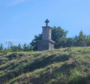 Forêt des Courbanges depuis Saint-Victor-la-Rivière - Saint-Victor-la-Rivière - 3