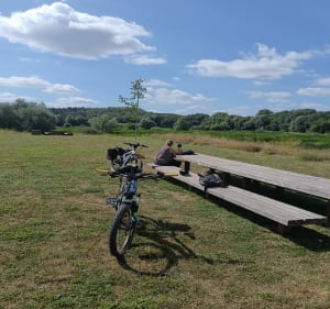 Balade au parc des Îles à Hénin-Beaumont - Haisnes - 4