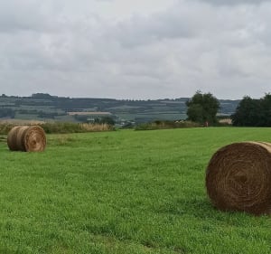 Prenez de la hauteur entre Nielles les Bléquin et Seninghem. - Vaudringhem - 3