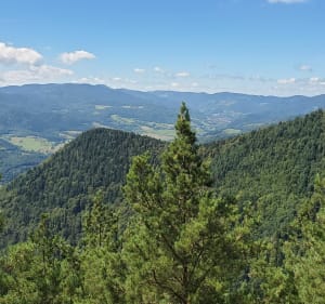 Tour des rochers à partir de Dieffenbach-au-Val - Dieffenbach-au-Val - 3