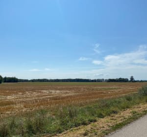 Balade autour de Villars-les-Dombes - Villars-les-Dombes - 3