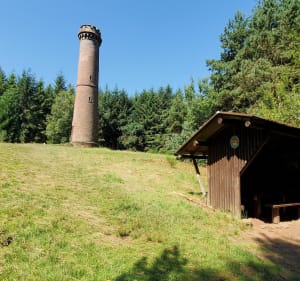 Alentours de Saverne - Saverne - 3