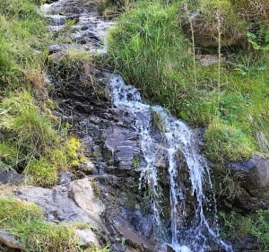 Promenade à la cabane du col d' Artigascou - Boutx - 3