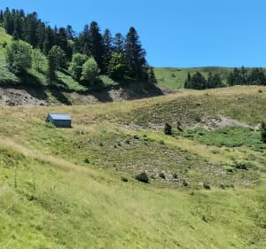 Promenade à la cabane du col d' Artigascou - Boutx - 5