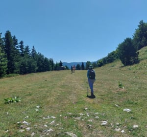 Balade par Varicauva, au départ du lac Bassa d'Oles - Gausac - 4