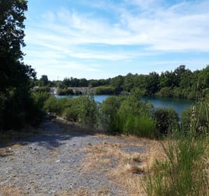 Sentier de l'Ardoise - Trélazé - 5