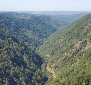 Mercoeur, Camps et Rocher du peintre - LAETITIA - 4