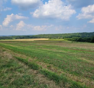 Aller-retour ecluse de Vaires - Thorigny-sur-Marne - 3