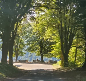 Mercoeur, Camps et Rocher du peintre - LAETITIA - 3