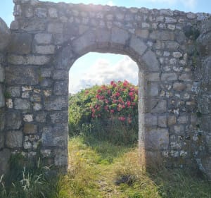 Saint Valery en Caux - Paluel - 3