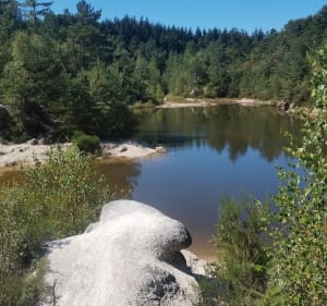 Le Puy de Juillat, au départ de la Bosse - Échassières - 4