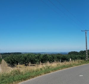 Le Puy de Juillat, au départ de la Bosse - Échassières - 5