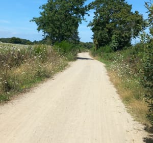 Entre Penvins et Saint-Armel à VTT - Sarzeau - 3