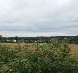 Pour les amoureux de lignes droites autour d'Autun - Auxy - 5
