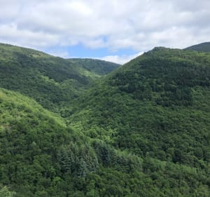 Le sentier des ruisseaux - Castans - 3
