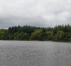Balade du Prieuré - Uchon - 5