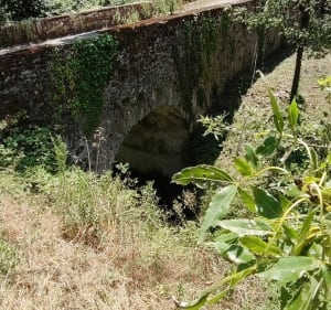Fraisse-Cabardès et sa falaise - Fraisse-Cabardès - 4