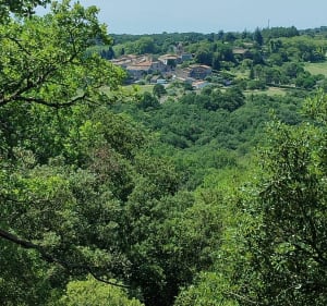 Fraisse-Cabardès et sa falaise - Fraisse-Cabardès - 5