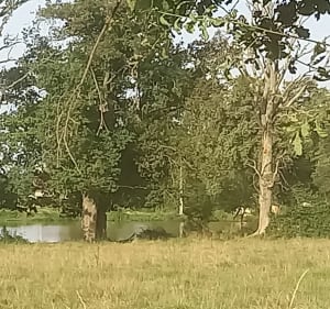 Balade à la campagne de Saint Gérand de Vaux - Saint-Gérand-de-Vaux - 4