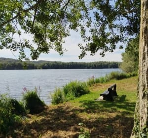 Balade au bord de l'eau à Bouvaincourt sur Bresle - Bouvaincourt-sur-Bresle - 3