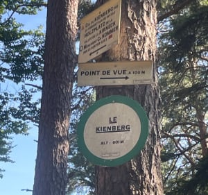 Château du Birkenfels et retour par le Kienberg - Barr - 3
