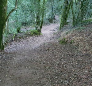A travers le bois de La Boissière et le village Le Poullo - Elven - 5