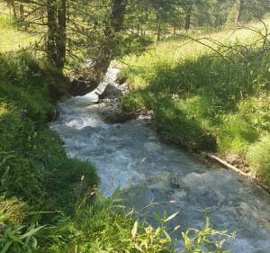 De Vior au Pré Rond - Ceillac - 5