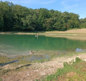 Boucle de Campagnac - Engayrac - 3