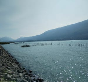 De la colline du poète au lac à Tresserve - Tresserve - 4