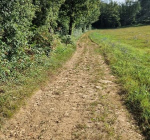 Entre Beaumont et le Grand Mayne - Beaumontois-en-Périgord - 3