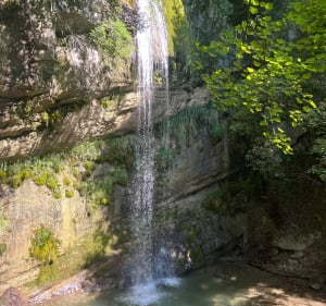 Tour du Glésy sous bois et panoramique avec cascade - Plateau-des-Petites-Roches - 3